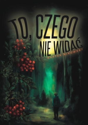Polecamy: To czego nie widać